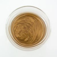 Gold Ink 