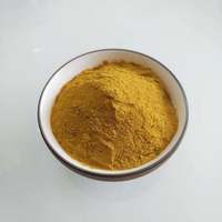 Hippophae rhamnoides extract