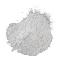 Silicate carrying silver inorganic antimicrobial powder
