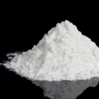 Light Catalyst