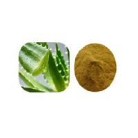 Aloe Extract Powder